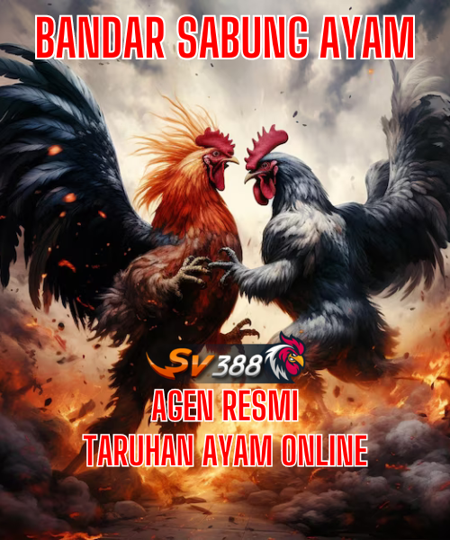 SV388 🐔 Agen Resmi Bandar Judi Sabung Ayam Online 24 Jam Terpercaya